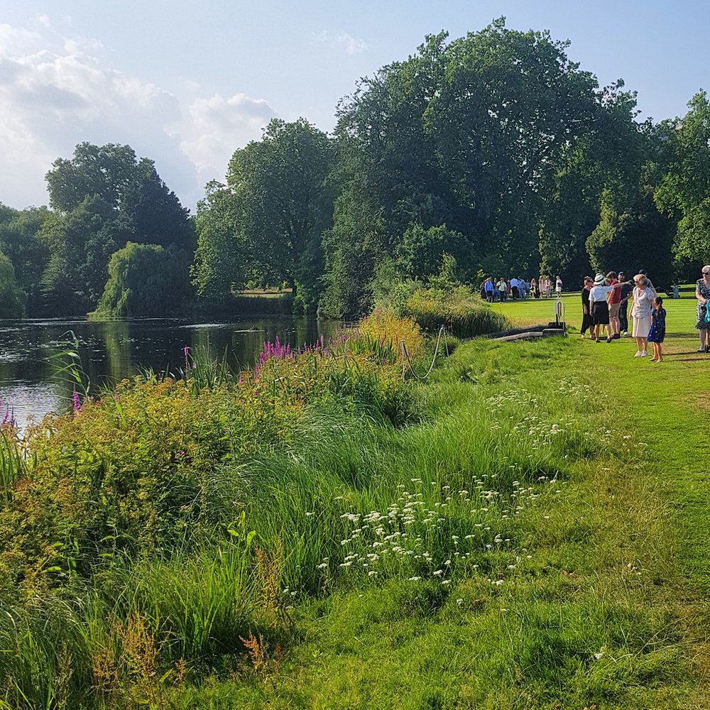 Visitors walking along the grassy edge of the palace lake, past long meadow grass and wildflowers