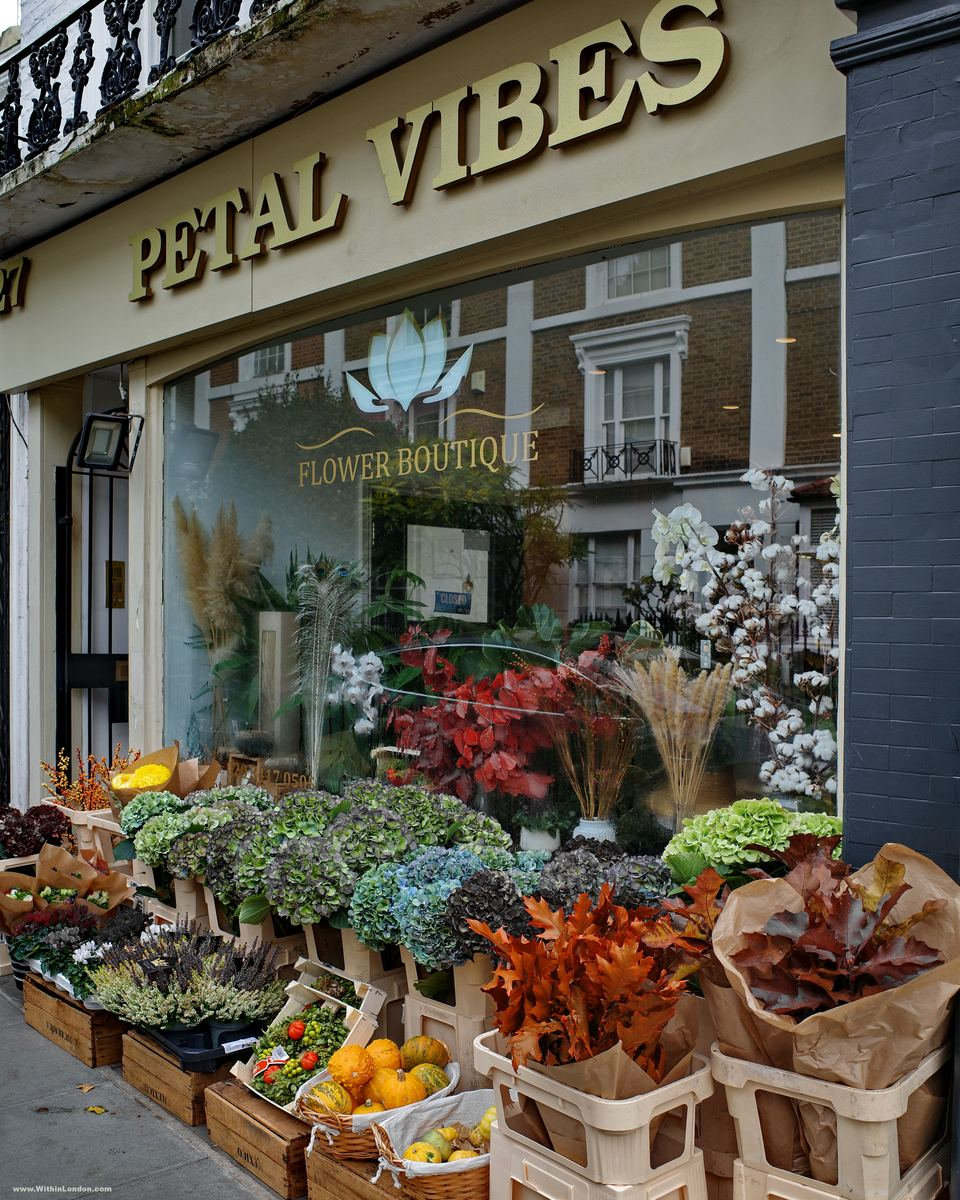 Petal Vibes florist on Holland Place in Kensington, with crates of dried grasses and autumn foliage stacked on the pavement below the cream shopfront
