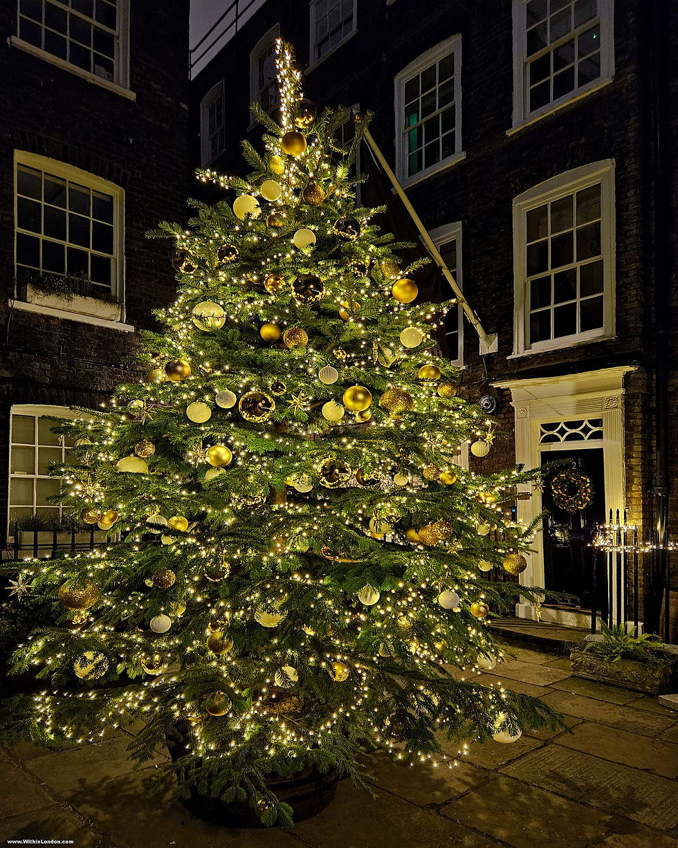 A Christmas tree lit with warm white lights on a quiet Mayfair street corner after dark