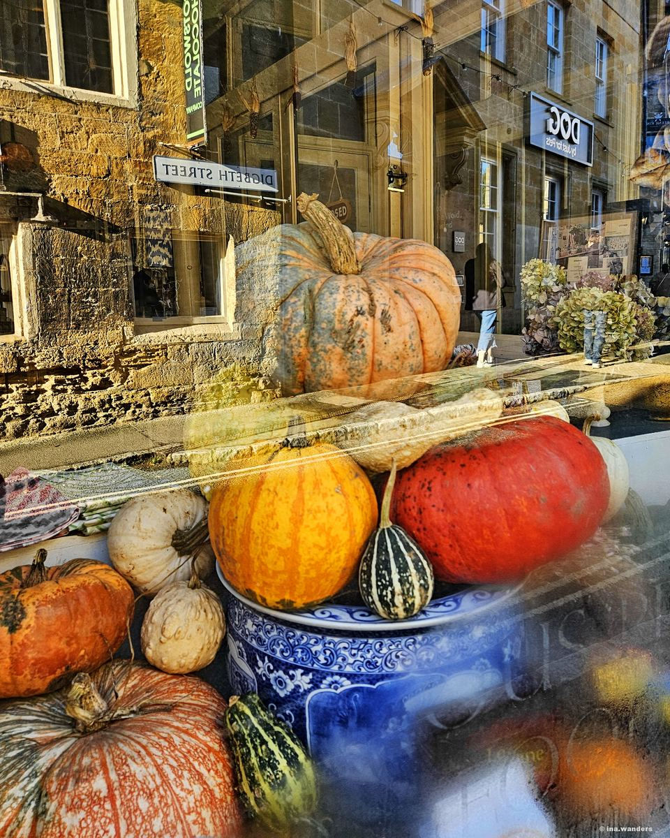 Pumpkins and gourds in a china bowl in a Digbeth Street shop window in Stow-on-the-Wold