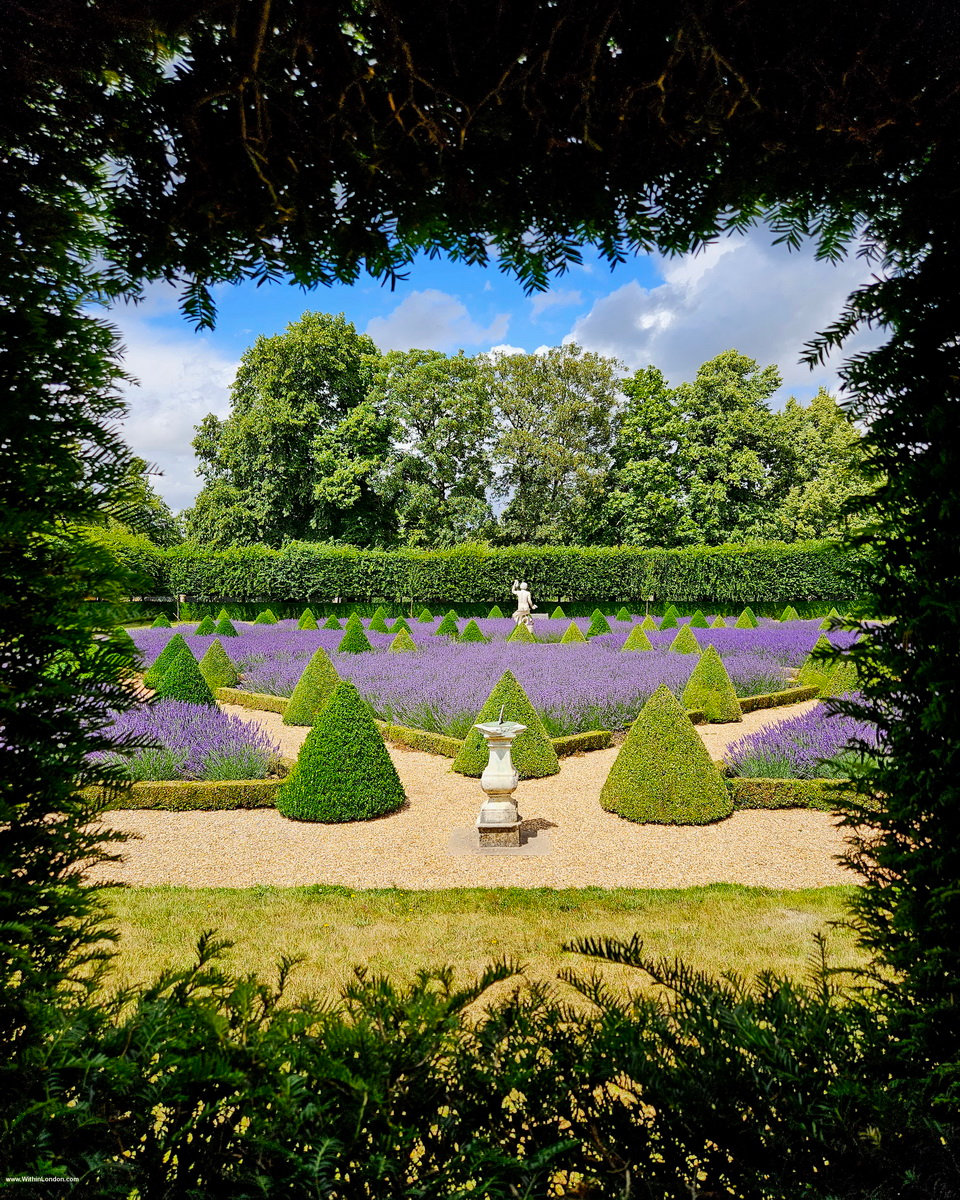 The Cherry Garden seen through an opening in a tall hedge, with lavender beds, box cones and a statue at the centre