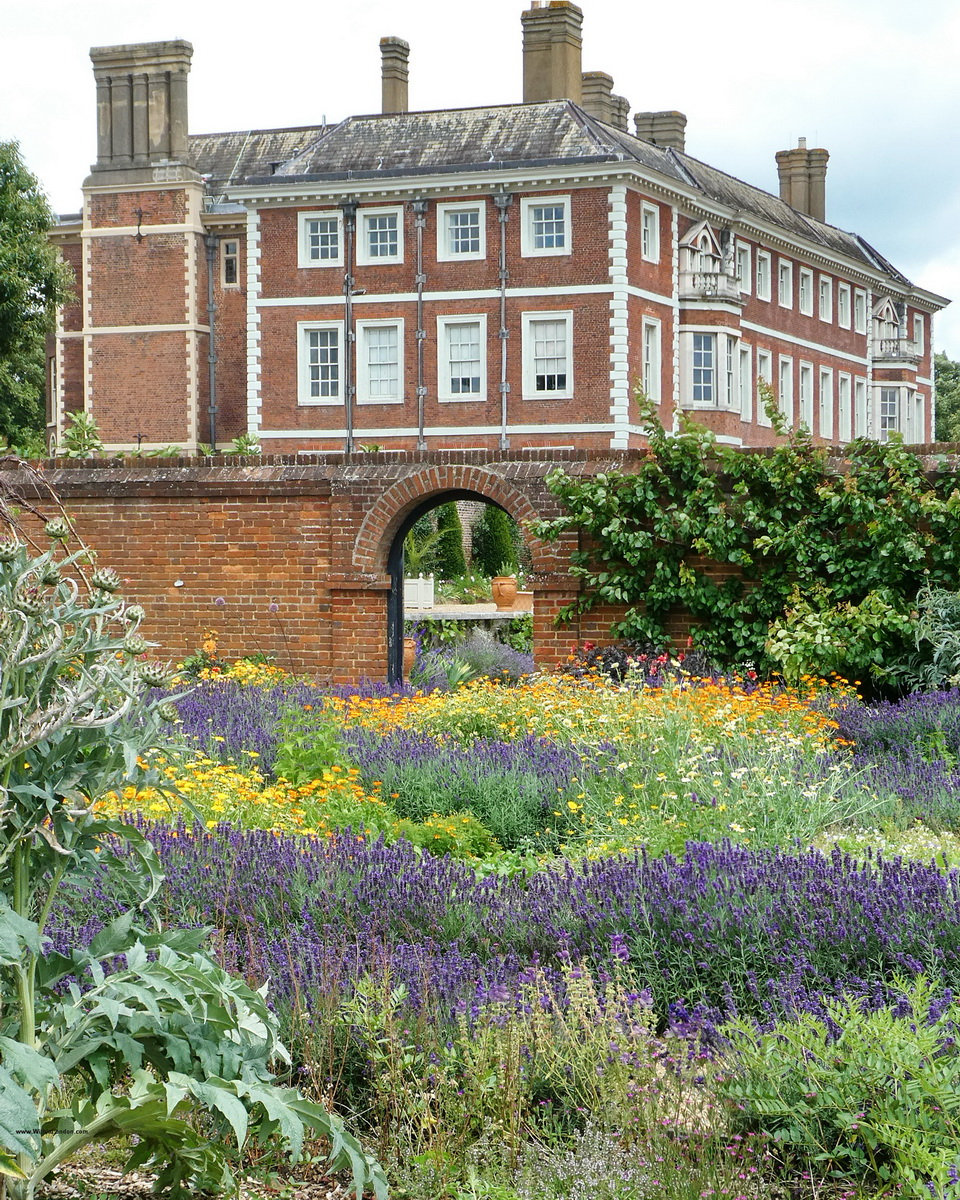 Lavender and yellow flowers in a border below a red-brick wall with an arched gateway at Ham House