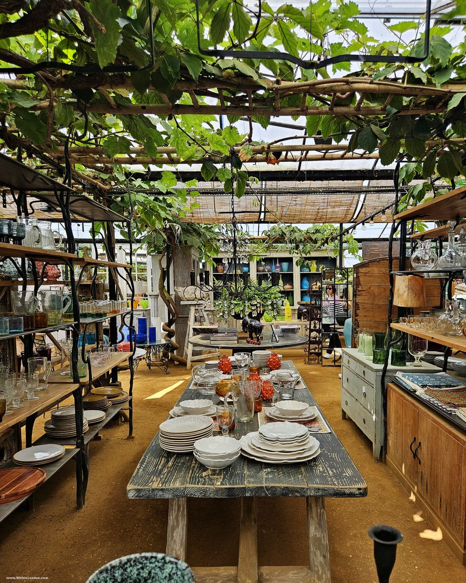 Long glasshouse with a wooden table holding stacks of white plates, shelves of homeware and a canopy of vine leaves