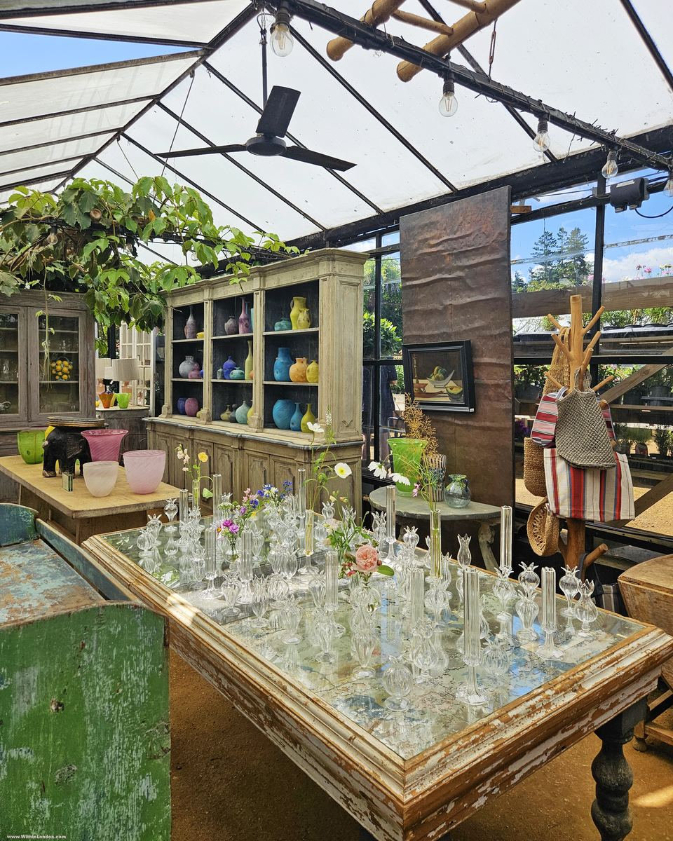 Table of clear glass vases and decanters inside a glasshouse shop, with painted wooden cabinets behind and a vine overhead