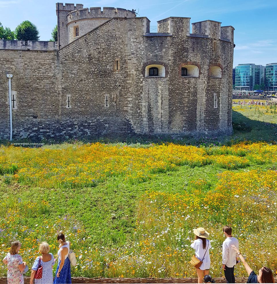 A row of visitors in summer clothes and a straw hat standing at a low wall, facing a tower across a field of wildflowers