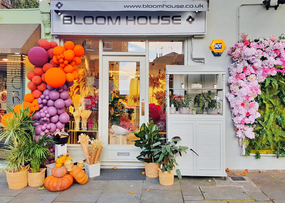 Bloom House florist's white shopfront framed by orange, purple and pink flower arrangements