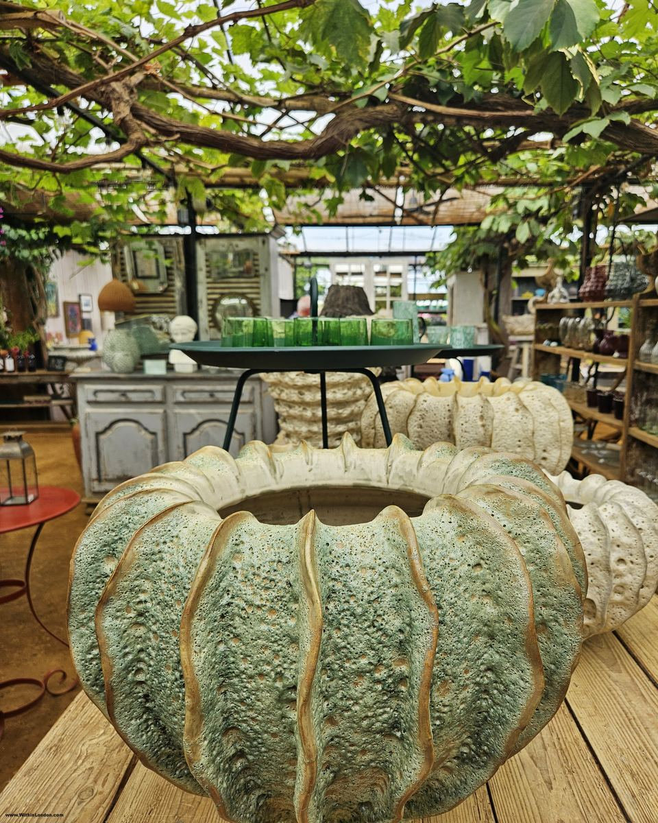 Large ribbed green ceramic planter on a wooden table, with shop shelves in the background