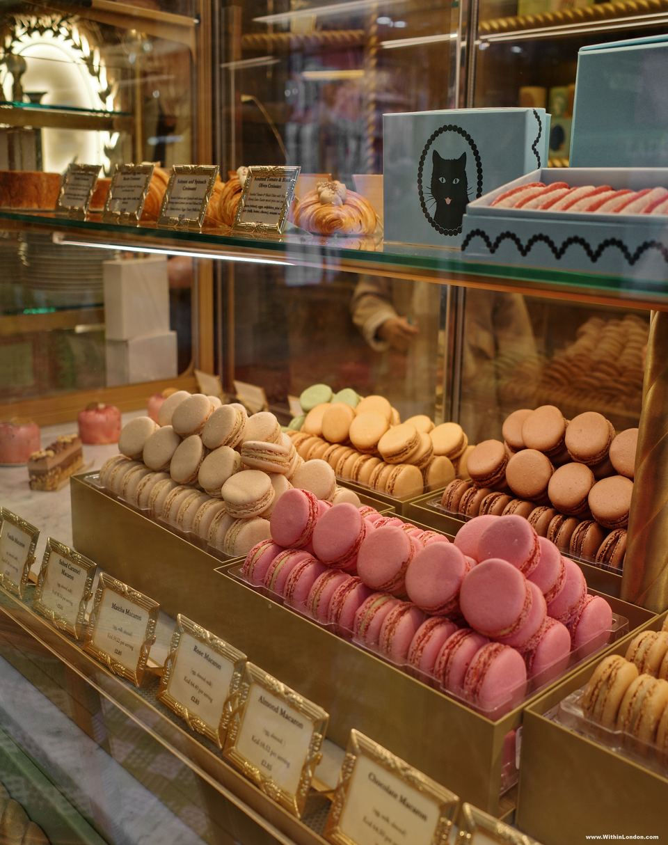 Rows of pink and cream macarons on a gold-trimmed shelf in a shop window