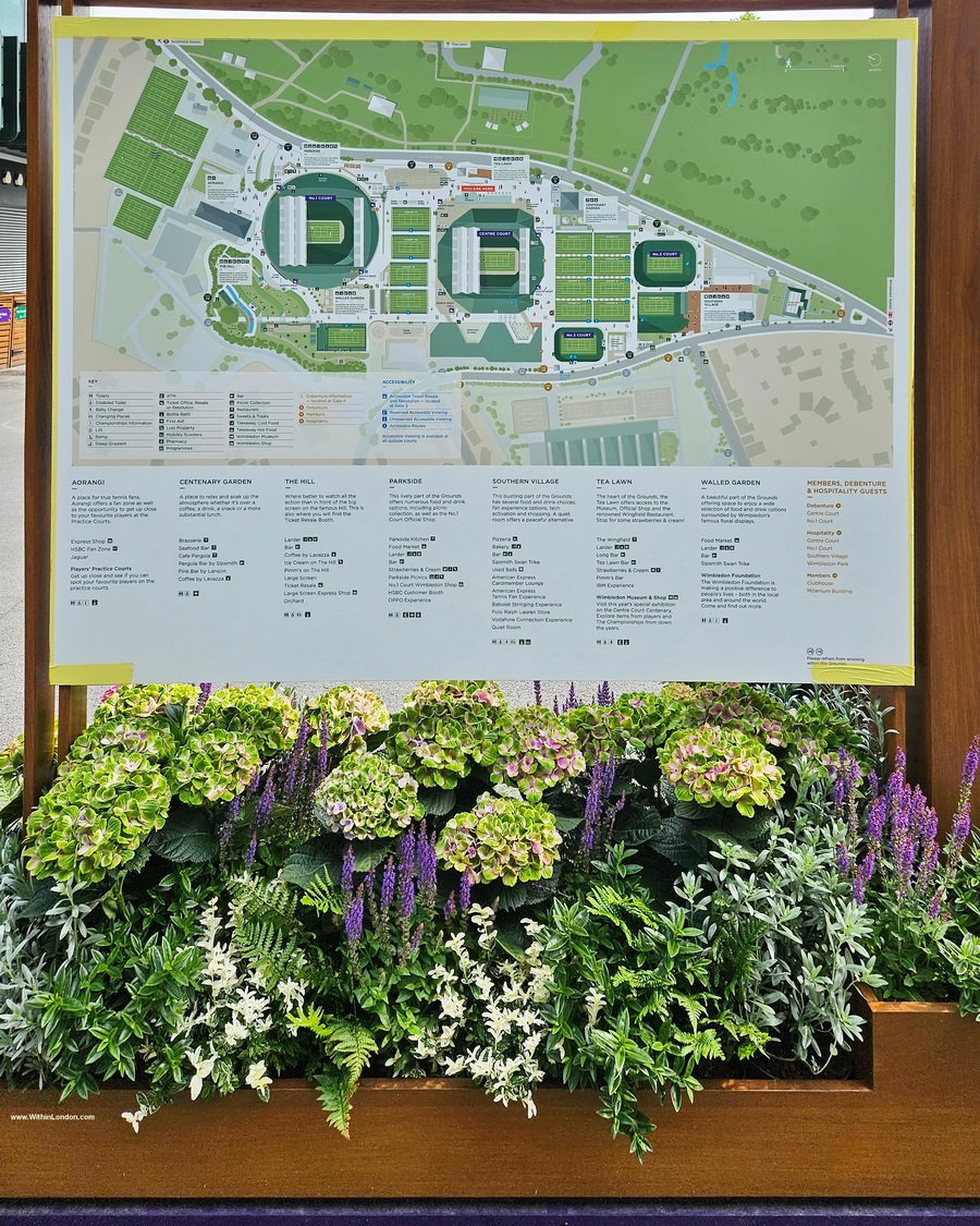 Large map board of the Wimbledon grounds above a bed of white and purple flowers