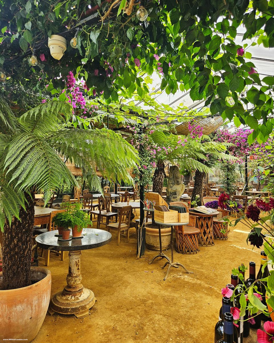Glasshouse café with tree ferns, palms and pink bougainvillea above tables set on a sandy earth floor