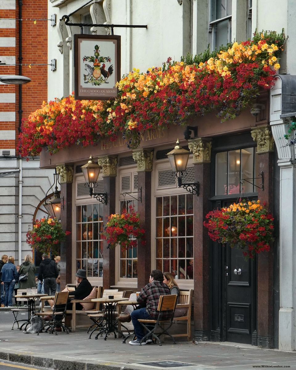 The Cadogan Arms on the King's Road with a long window box of orange, red and yellow flowers beneath the hanging pub sign