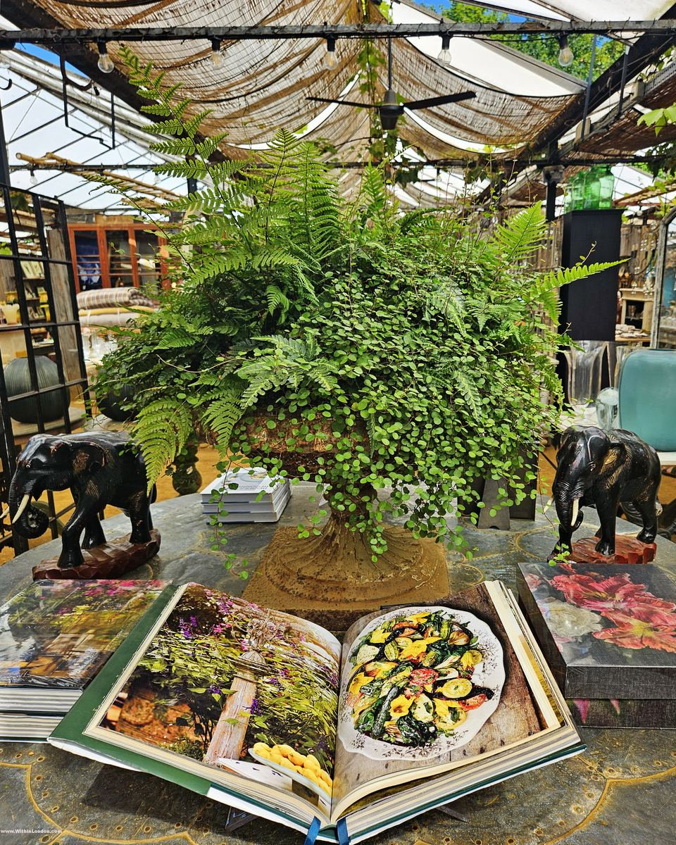 Large potted fern on a table between two carved wooden elephants, next to an open book of food photographs