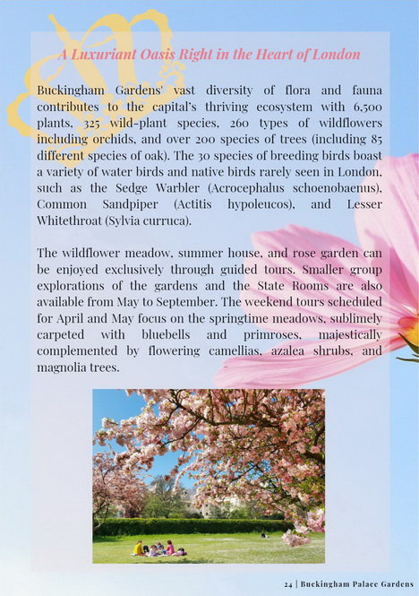 Page #3 of WithinLondon's article feature