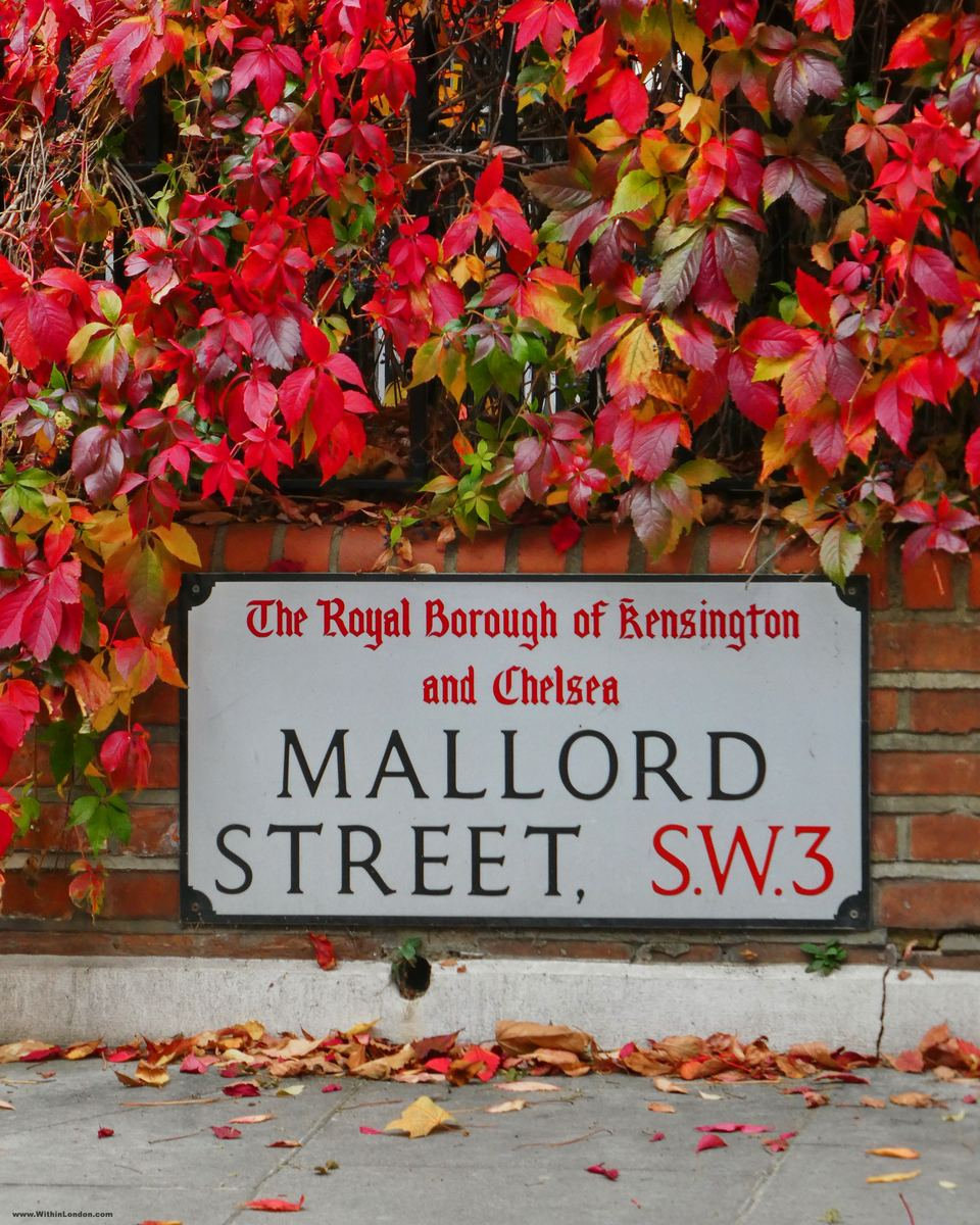 Street sign for Mallord Street SW3, Royal Borough of Kensington and Chelsea, set into a wall of red Boston ivy with fallen leaves on the pavement below