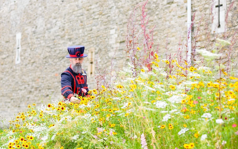 Beefeater walking through Superbloom London