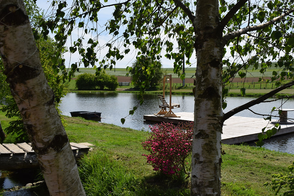 DSC_0051.JPG