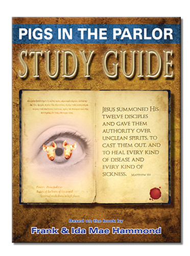 PIGS IN THE PARLOR BOOK AND STUDY GUIDE PDF FREE DOWNLOAD visual data 8