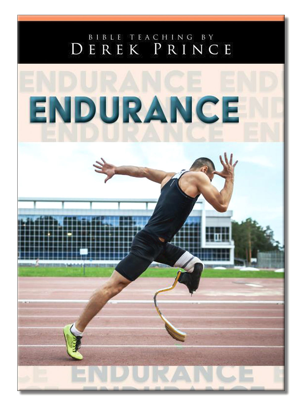 Thumbnail: Endurance (1 CD)
