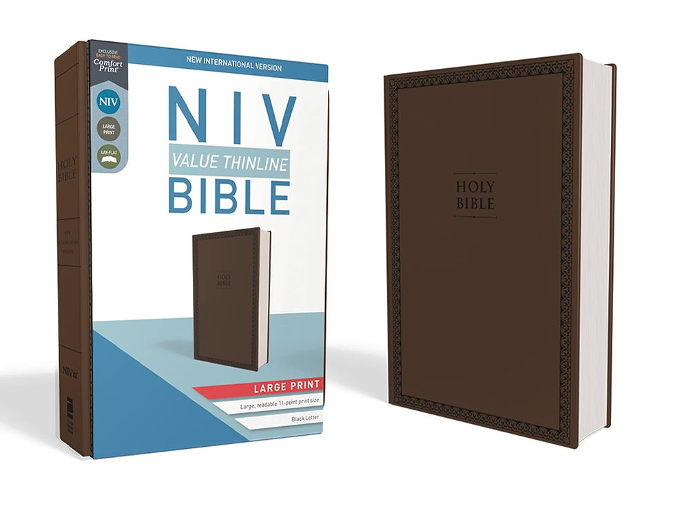 LARGER PRINT BIBLE NIV Value Thinline Bible Leathersoft Impact larger-print-bible-niv-value-thinline-bible-leathersoft-impact