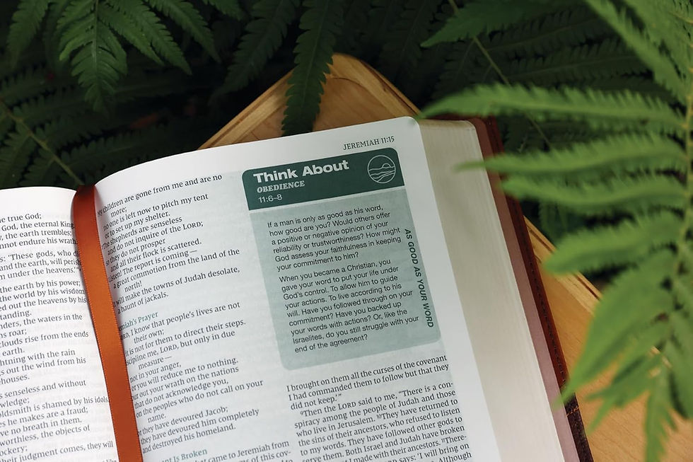 Thumbnail: MEN'S NIV STUDY BIBLE: Rooted - the Bible for Men
