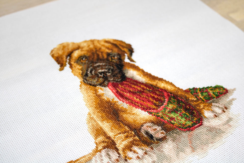 Thumbnail: B2338 The boxer - Cross Stitch Kit Luca-S