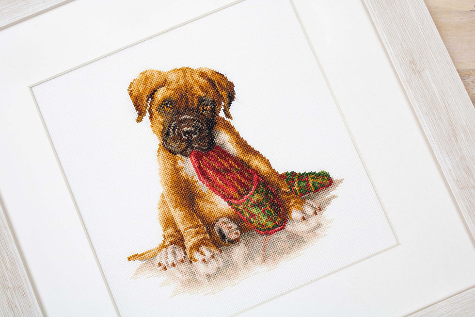 Thumbnail: B2338 The Boxer - Cross Stitch Kit Luca-S
