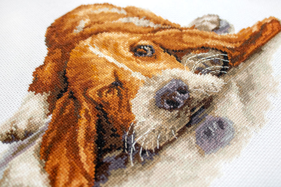 Thumbnail: B2341 Basset - Cross Stitch Kit Luca-S