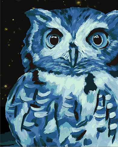 Owl5.1.png