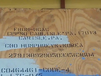 The Problem with Growing Up: Thoughts on Moving and Friendship