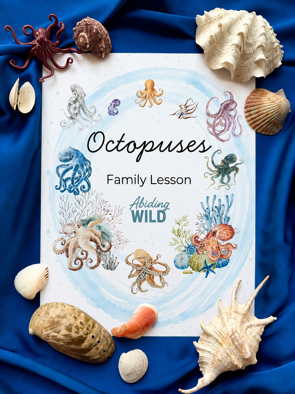 Thumbnail: Octopuses Family Lesson