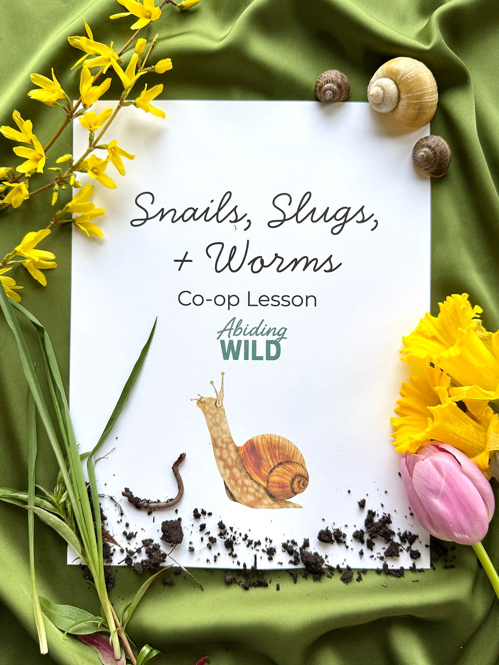Cover page of the Snails, Slugs, and Worms Co-op Lesson by Abiding Wild, styled on green fabric with flowers, snail shells,