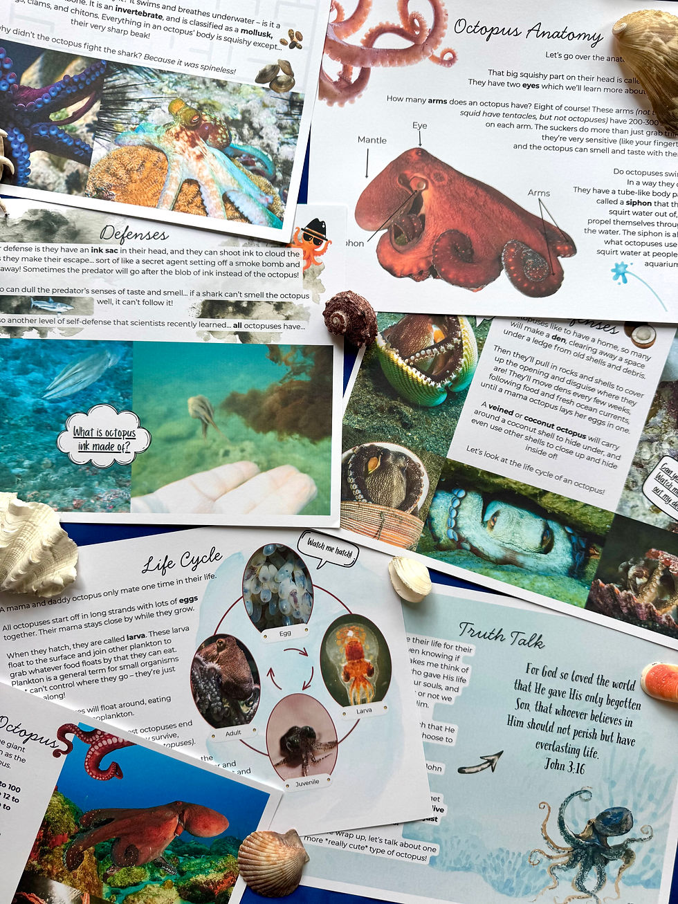 Thumbnail: Octopuses Family Lesson