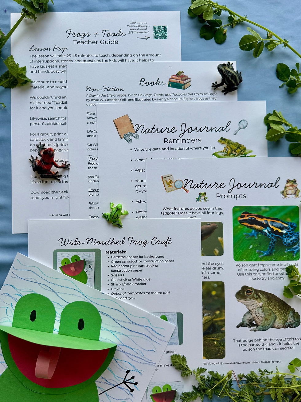 Thumbnail: images of pages from the co-op teacher guide including lesson prep, nature journal prompts, and craft instructions
