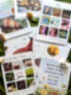 Inside pages showing real photos, slug anatomy, nudibranch photo grid, memory verse card, and photo collages