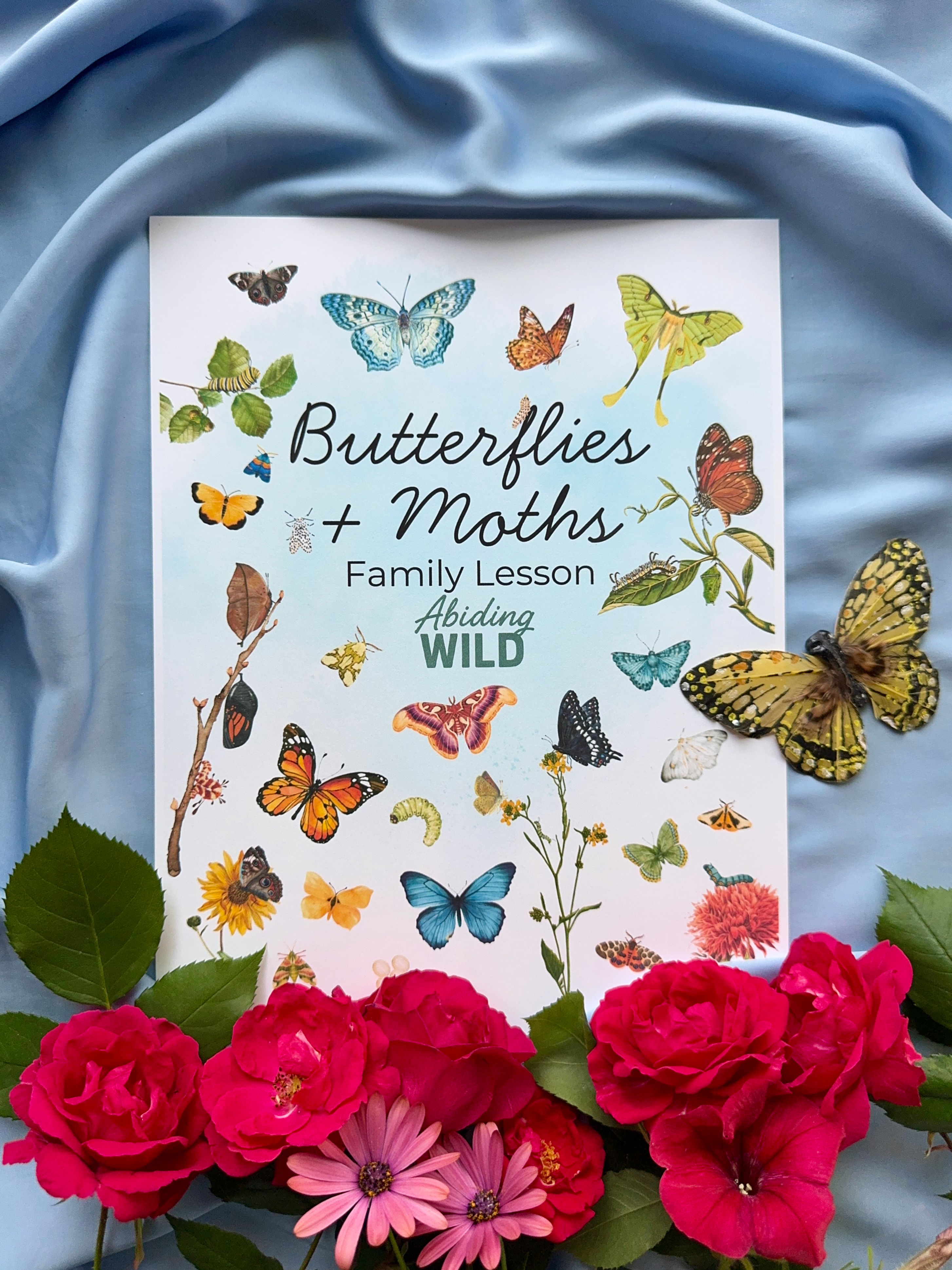 Butterflies + Moths Family Lesson
