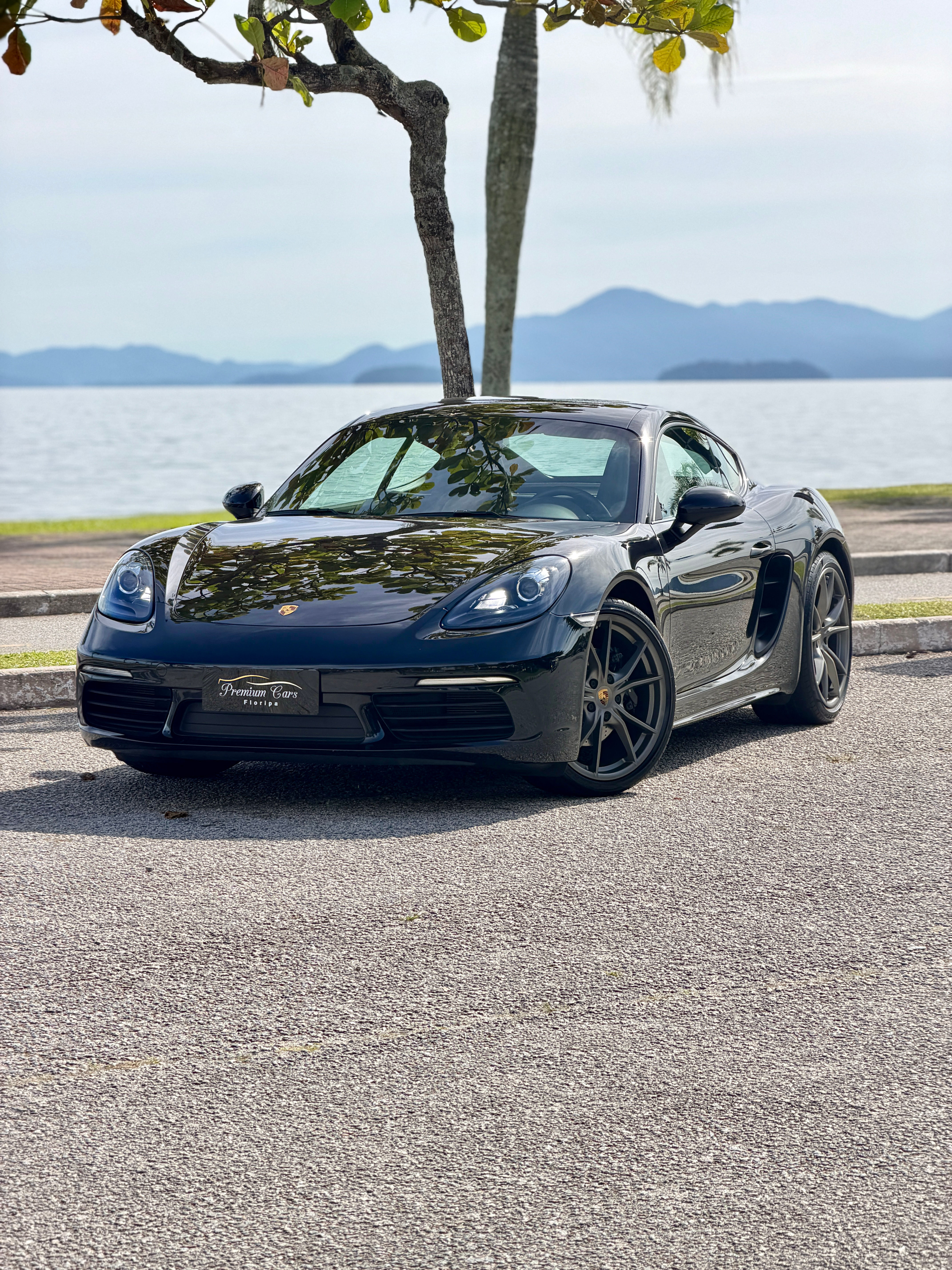 Porsche 718 Cayman 2.0 2019