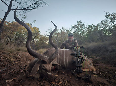 Kudu Bull hunted at Shingani Safaris