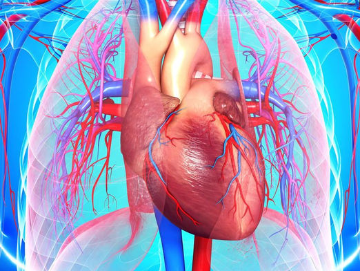 Coronary Artery Disease. You Might Be at Risk!
