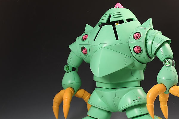 8zock1000.jpg