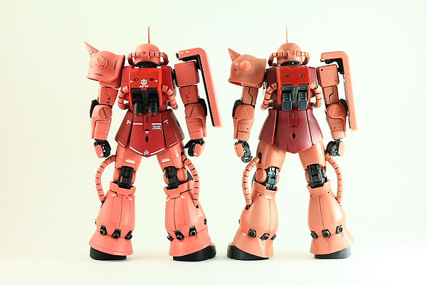 62014CHARZAKU236.jpg