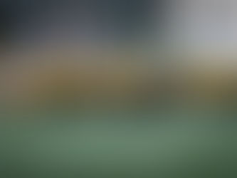 Rick Rivers Report Week 1 - Always Exciting!!!! Tigers VS Reds!!!!!