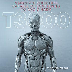 Nanocytes