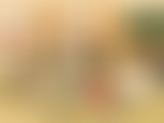 地域活動事例：多世代交流と子育て支援を実現する「英語で遊ぼう」　　　No20