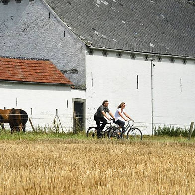 Hof Ter Bree-Eik, Lennik