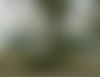 The "Haunted" Myrtles Plantation