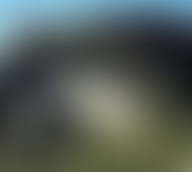 The House on the Rock