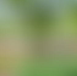 The Fountainhead House