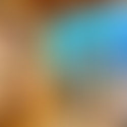 203 Lo Meadow Lane, Bailey, CO