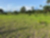 LANDSIERRA.jpg