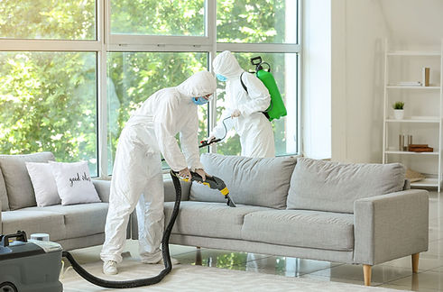 deep clean _edited.jpg